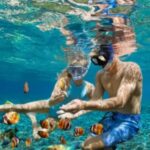 Logo du groupe Les passionné(e)s de plongée et de snorkeling